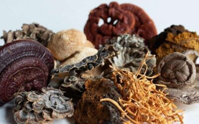Medicinal Mushrooms: Nature’s Miracle Workers • Episode 17 • Free •