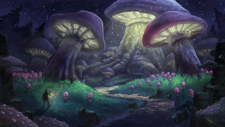 Magic Mushroom Q & A • Episode 22 • Full •